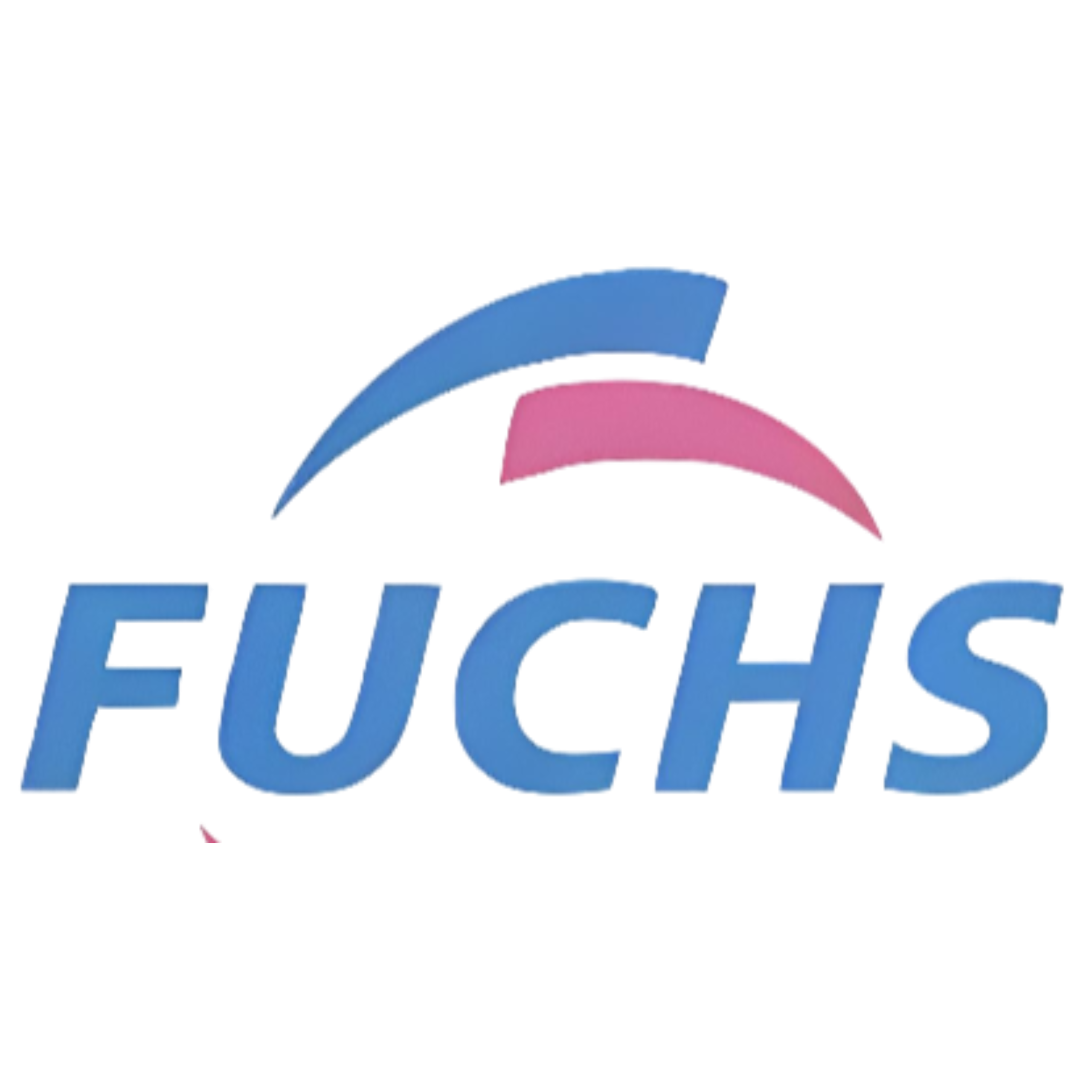 Logo 12
